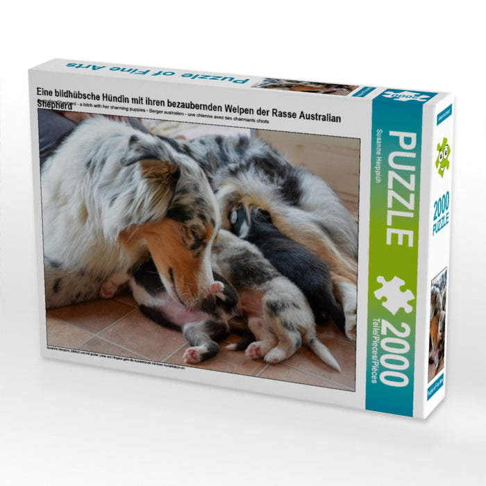 Eine bildhübsche Hündin mit ihren bezaubernden Welpen der Rasse Australian Shepherd 2000 Teile Puzzle quer - CALVENDO Foto-Puzzle'