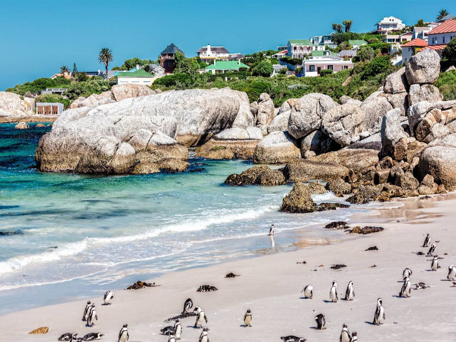 Boulders Beach - CALVENDO Foto-Puzzle'