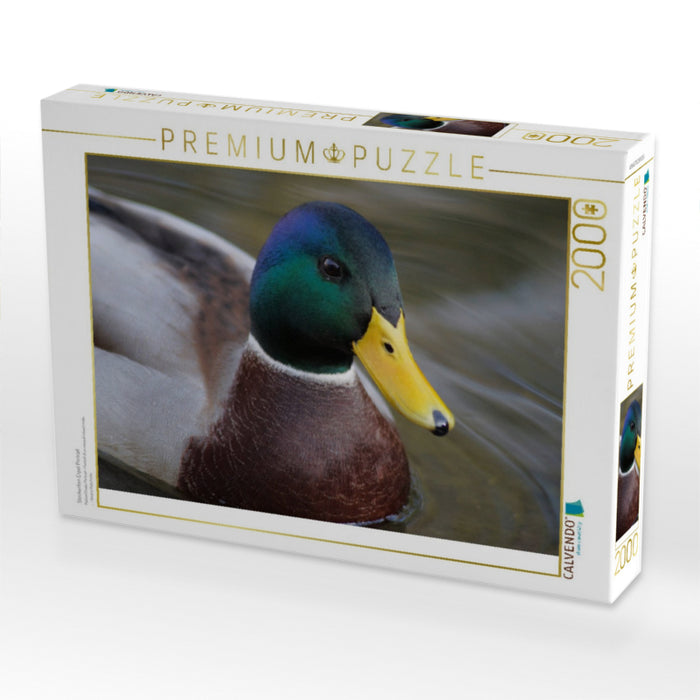 Stockenten Erpel Portrait - CALVENDO Foto-Puzzle'