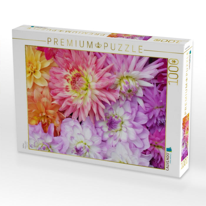 Dahlien - CALVENDO Foto-Puzzle'