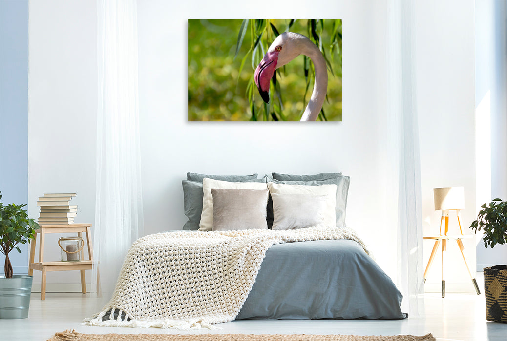 Premium Textil-Leinwand Premium Textil-Leinwand 120 cm x 80 cm quer Rosa Flamingo