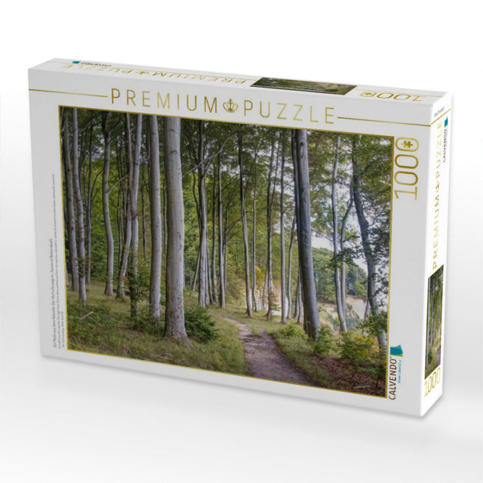 Ein Motiv aus dem Kalender Der Hochuferweg im Jasmund Nationalpark - CALVENDO Foto-Puzzle'