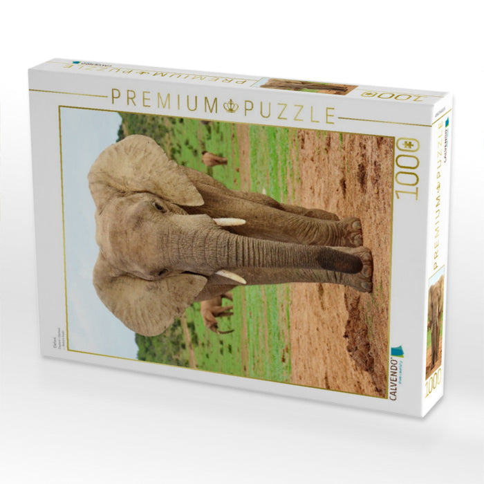 Elefant - CALVENDO Foto-Puzzle'