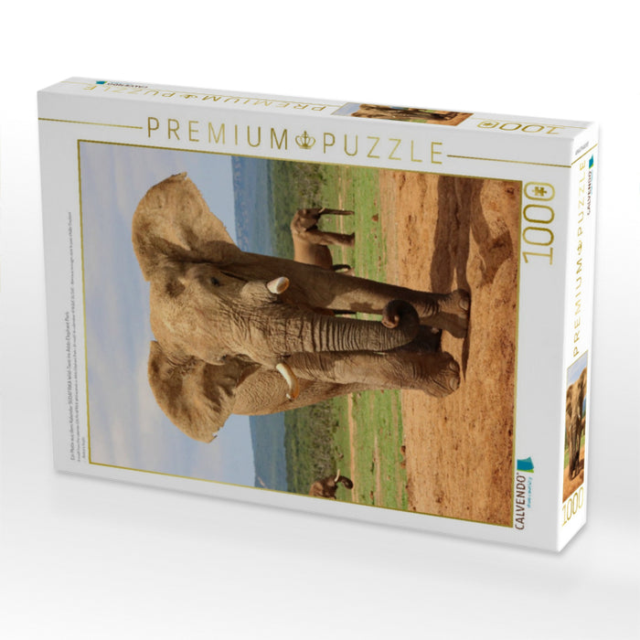 Ein Motiv aus dem Kalender SÜDAFRIKA Wild-Tiere im Addo Elephant Park - CALVENDO Foto-Puzzle'