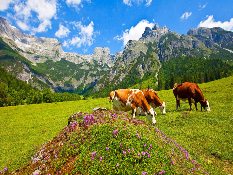Ein Motiv aus dem Kalender Grüße aus Werfenweng - CALVENDO Foto-Puzzle'