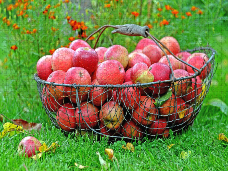 Äpfel im Korb - CALVENDO Foto-Puzzle'