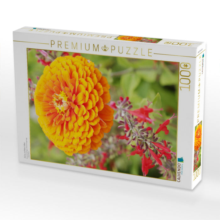 Zinnie und Roter Salbei - CALVENDO Foto-Puzzle'