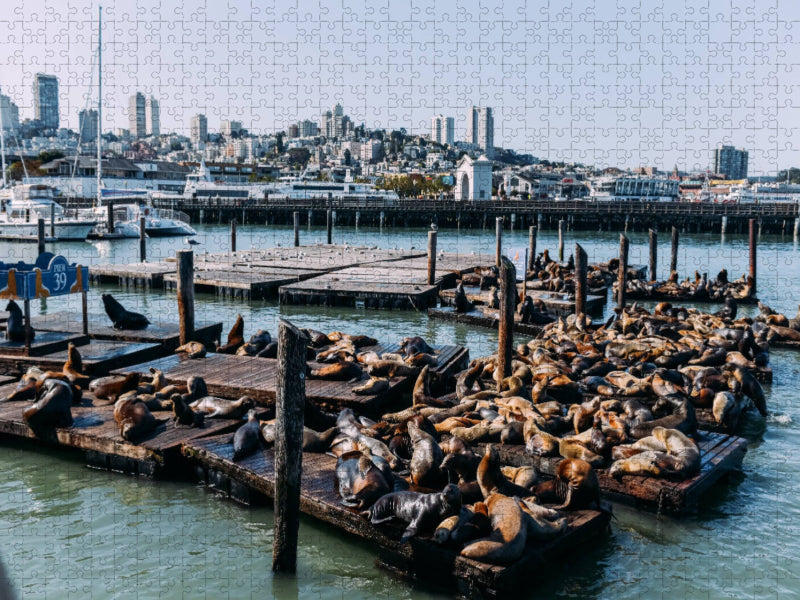 San Francisco - Pier 39 - CALVENDO Foto-Puzzle'
