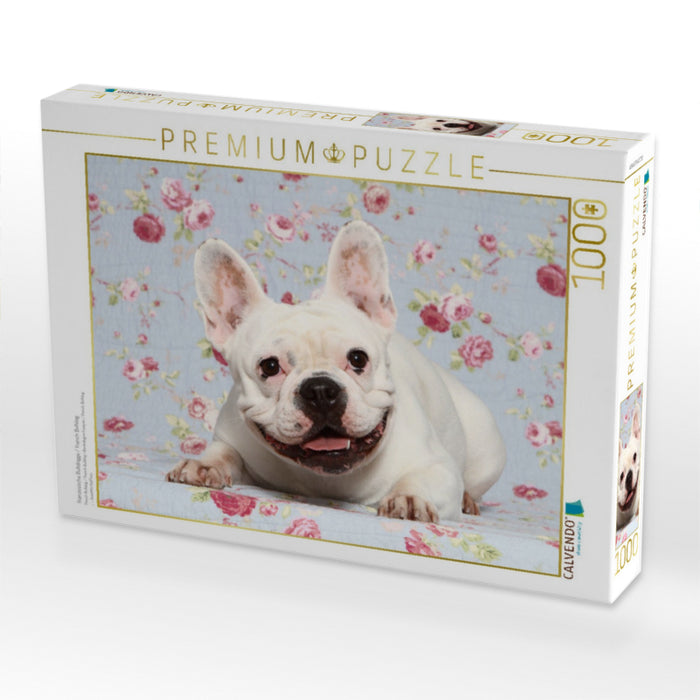 Französische Bulldogge / French Bulldog - CALVENDO Foto-Puzzle'