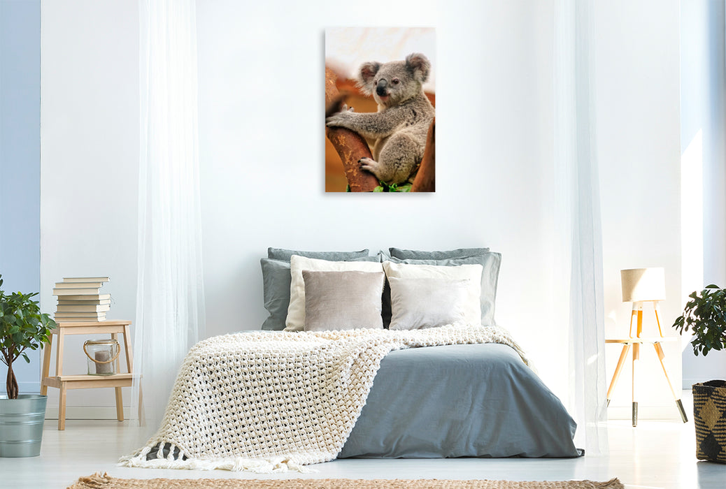 Premium Textil-Leinwand Premium Textil-Leinwand 60 cm x 90 cm hoch Koala