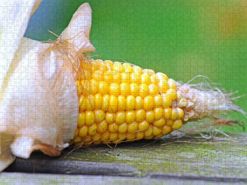 Maiskolben - CALVENDO Foto-Puzzle'