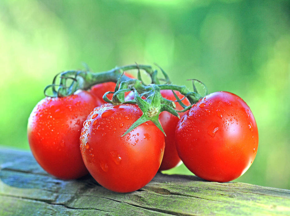 Tomaten - CALVENDO Foto-Puzzle'