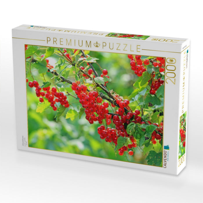 Johannisbeeren - CALVENDO Foto-Puzzle'