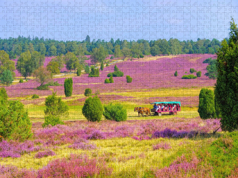 Kremserfahrten durch die Heidelandschaft - CALVENDO Foto-Puzzle'