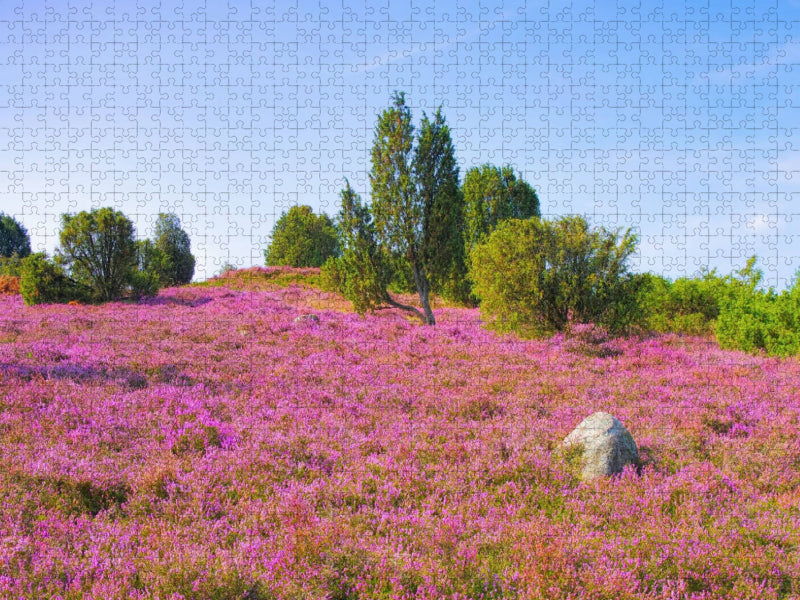 Lüneburger Heide - CALVENDO Foto-Puzzle'