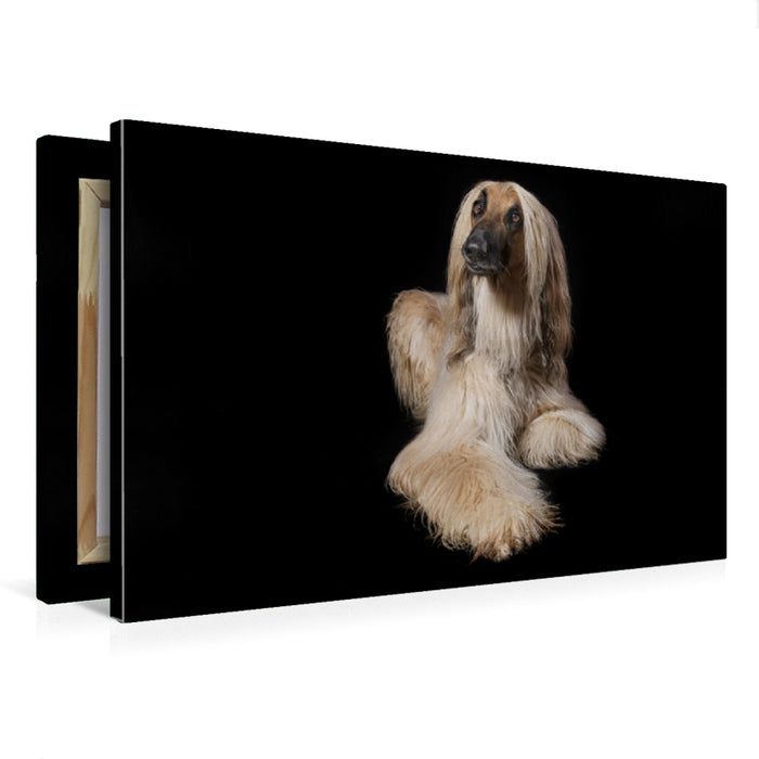Premium Textil-Leinwand Afghane