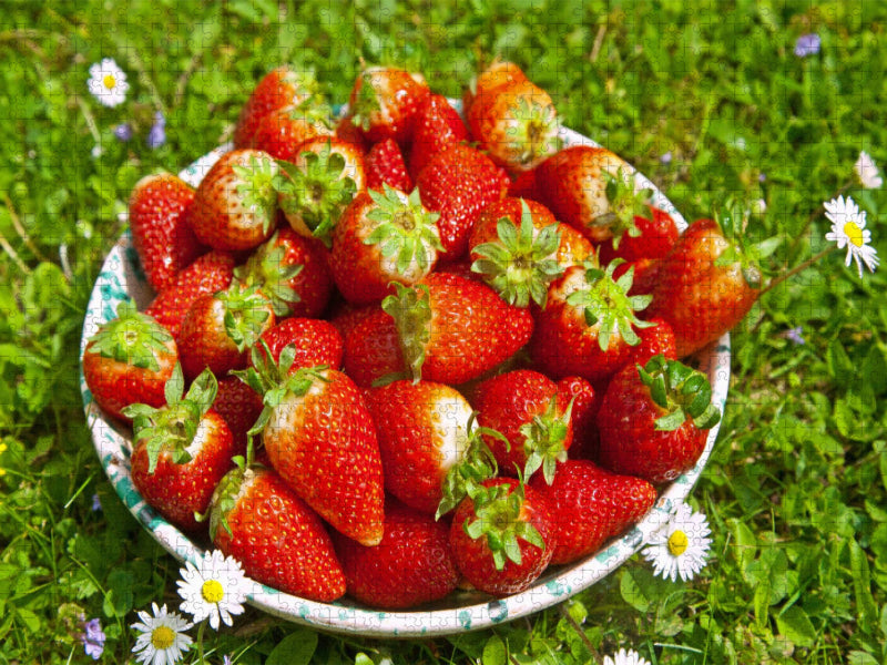 Erdbeeren - CALVENDO Foto-Puzzle'