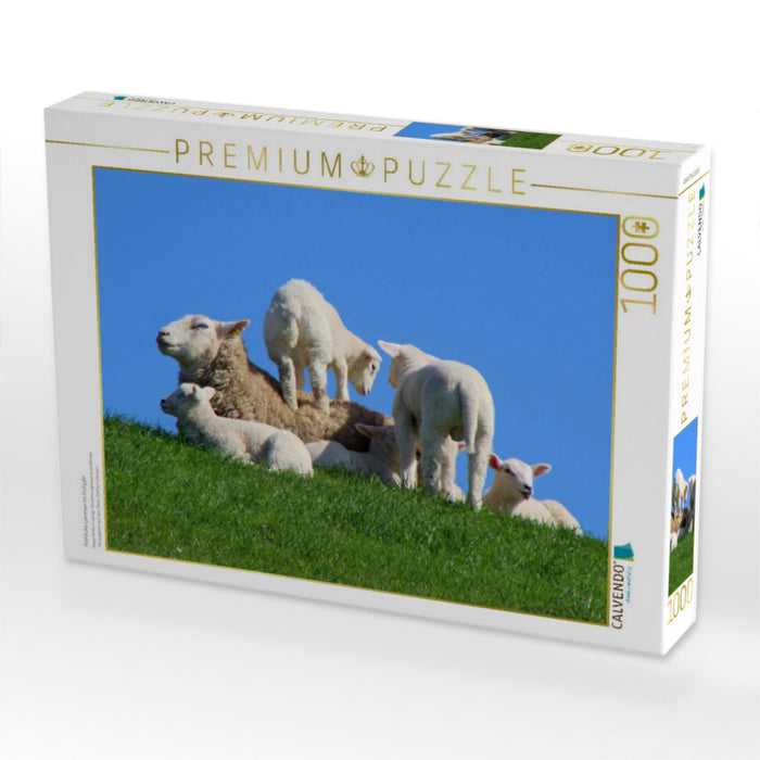 Fröhliche Lämmer im Frühjahr - CALVENDO Foto-Puzzle'