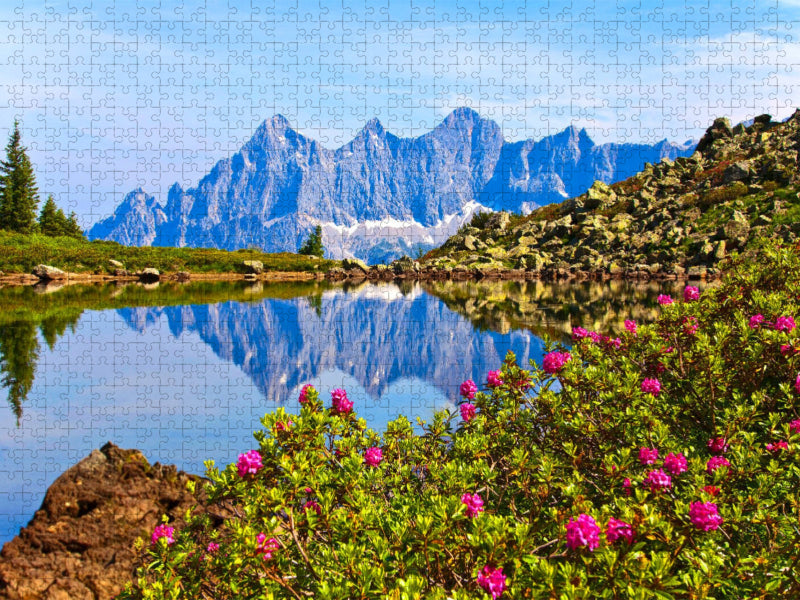 Almrauschblüte am Spiegelsee auf der Reiteralm - CALVENDO Foto-Puzzle'