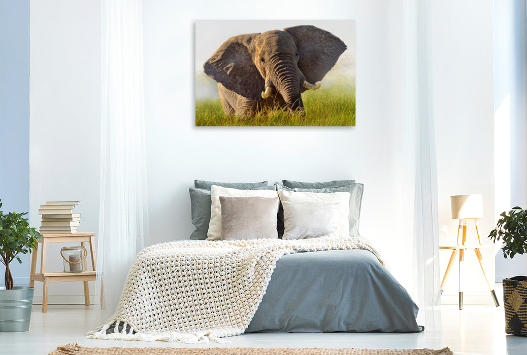 Premium Textil-Leinwand Premium Textil-Leinwand 120 cm x 80 cm quer Elefant im Okawango Delta