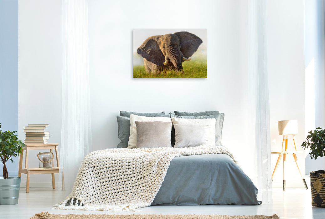 Premium Textil-Leinwand Premium Textil-Leinwand 120 cm x 80 cm quer Elefant im Okawango Delta