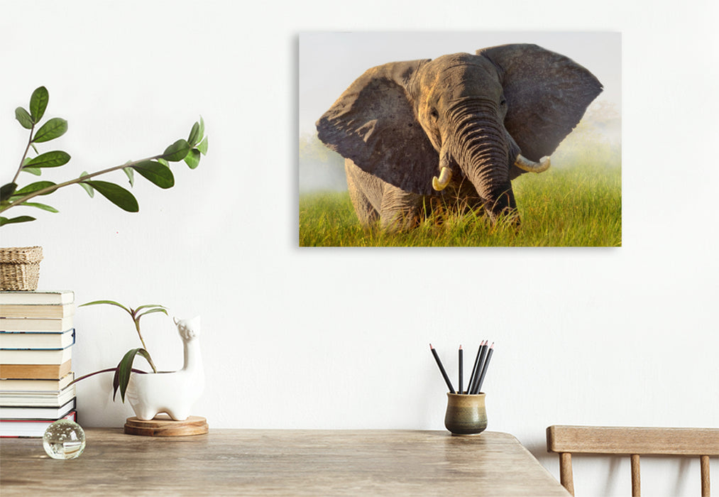 Premium Textil-Leinwand Premium Textil-Leinwand 120 cm x 80 cm quer Elefant im Okawango Delta