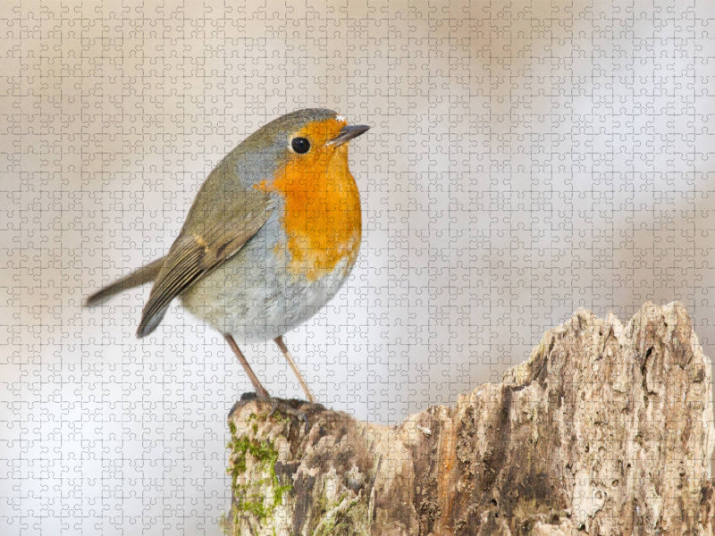Fein dekoriert - CALVENDO Foto-Puzzle'