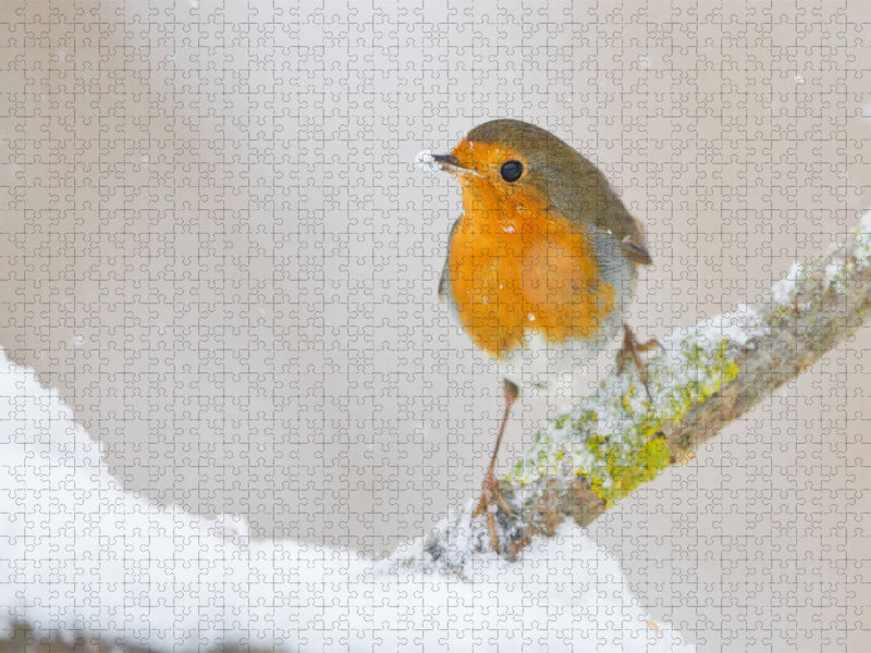 Winterzeit - CALVENDO Foto-Puzzle'