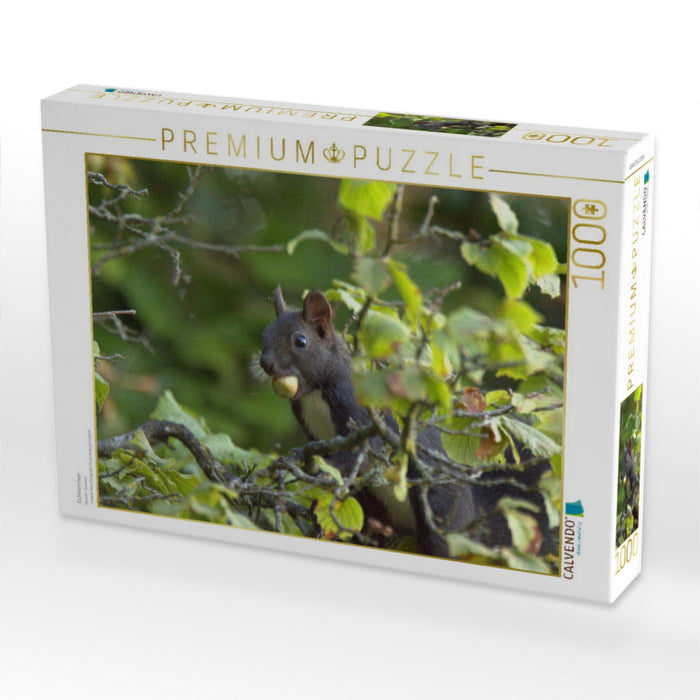 Eichhörnchen - CALVENDO Foto-Puzzle'
