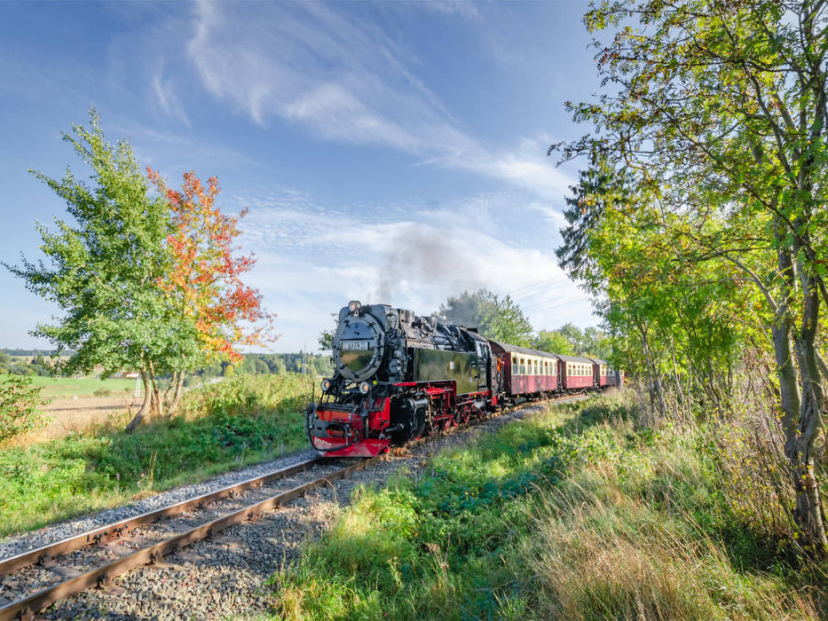 Selketalbahn bei Stiege - CALVENDO Foto-Puzzle'