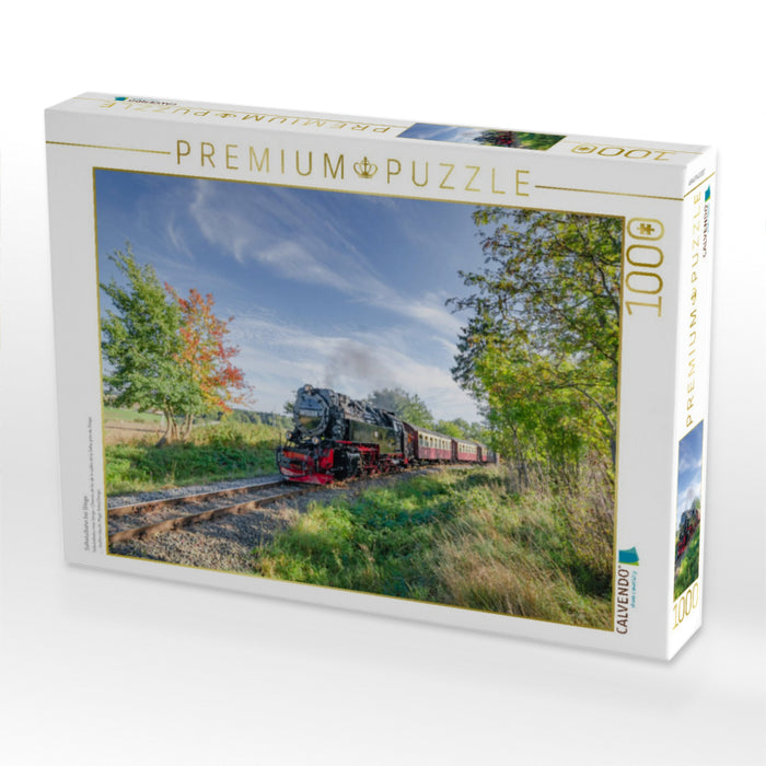 Selketalbahn bei Stiege - CALVENDO Foto-Puzzle'