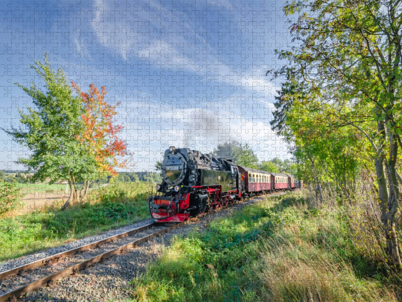 Selketalbahn bei Stiege - CALVENDO Foto-Puzzle'
