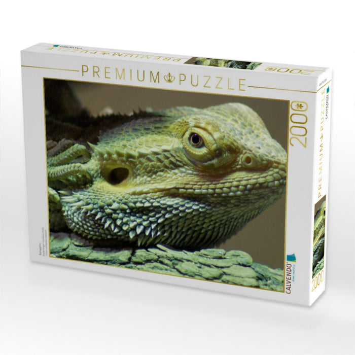 Bartagame - CALVENDO Foto-Puzzle'