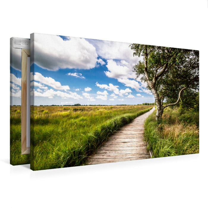 Premium Textil-Leinwand Naturlehrpfad-Blick