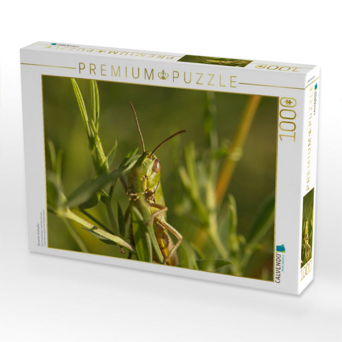 Gemeiner Grashüpfer - CALVENDO Foto-Puzzle'