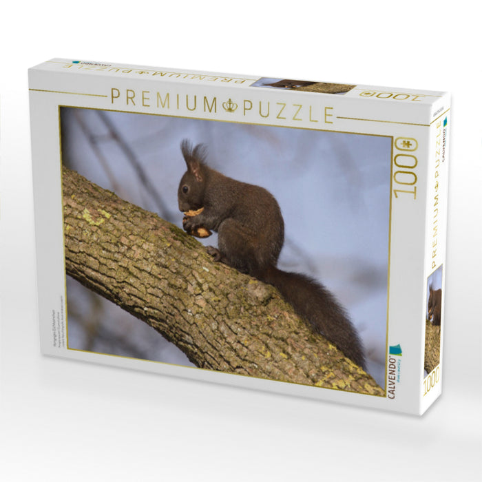 Hungriges Eichhörnchen - CALVENDO Foto-Puzzle'