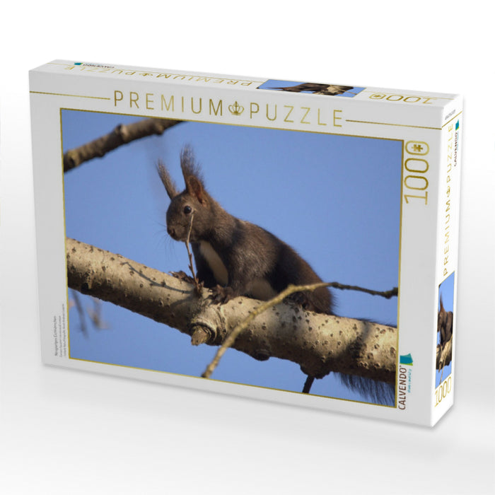 Neugieriges Eichhörnchen - CALVENDO Foto-Puzzle'