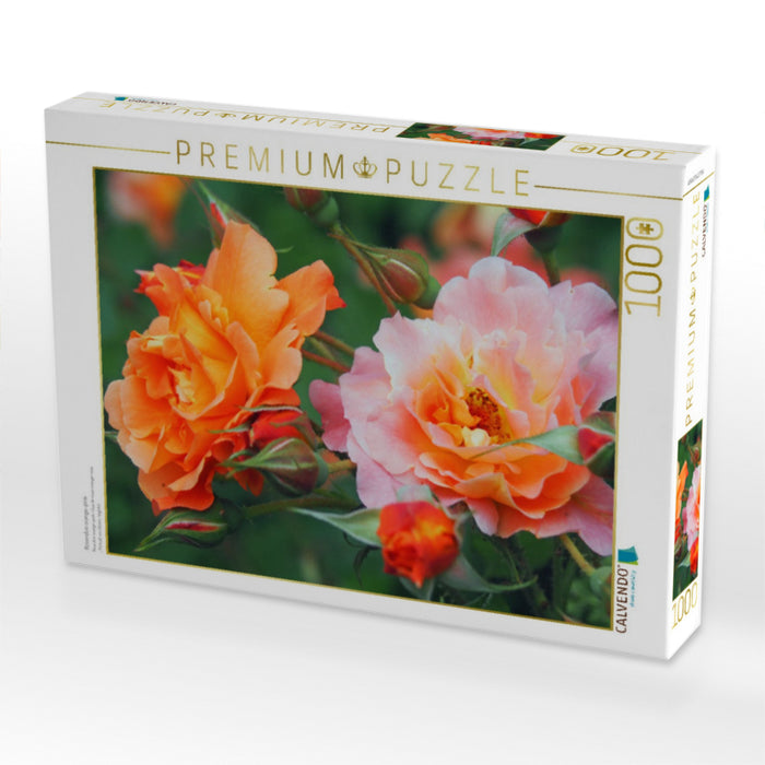 Rosenduo orange-pink - CALVENDO Foto-Puzzle'