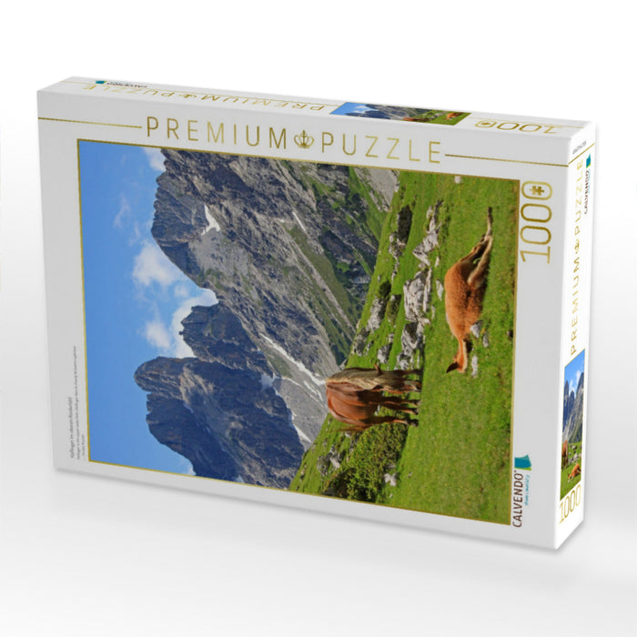 Haflinger im oberen Rinderfeld - CALVENDO Foto-Puzzle'