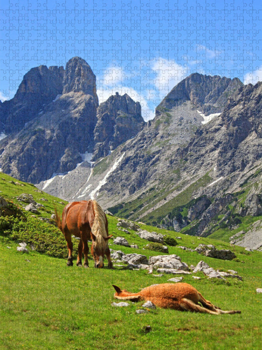 Haflinger im oberen Rinderfeld - CALVENDO Foto-Puzzle'