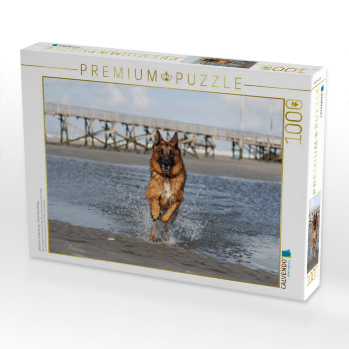 Deutscher Schäferhund in Sankt Peter-Ording - CALVENDO Foto-Puzzle'