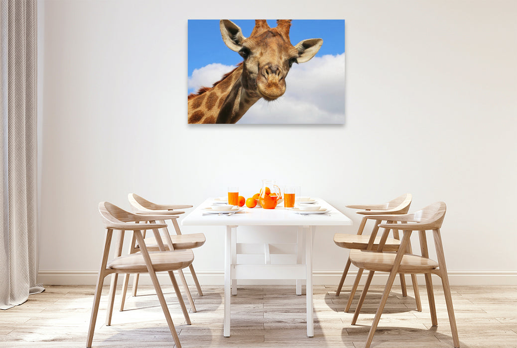 Premium Textil-Leinwand Giraffe