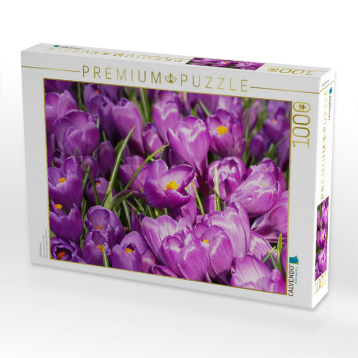 Lila Krokusse - CALVENDO Foto-Puzzle'
