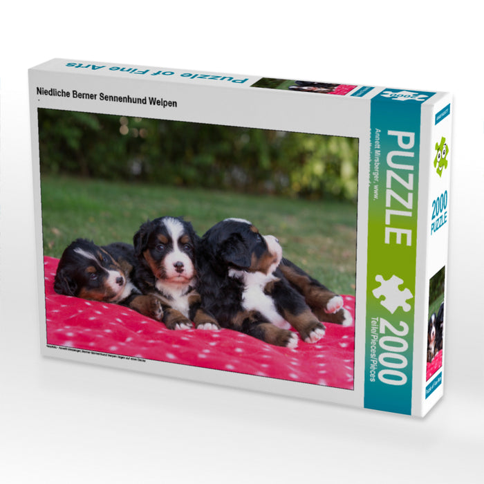 Niedliche Berner Sennenhund Welpen 2000 Teile Puzzle quer - CALVENDO Foto-Puzzle'