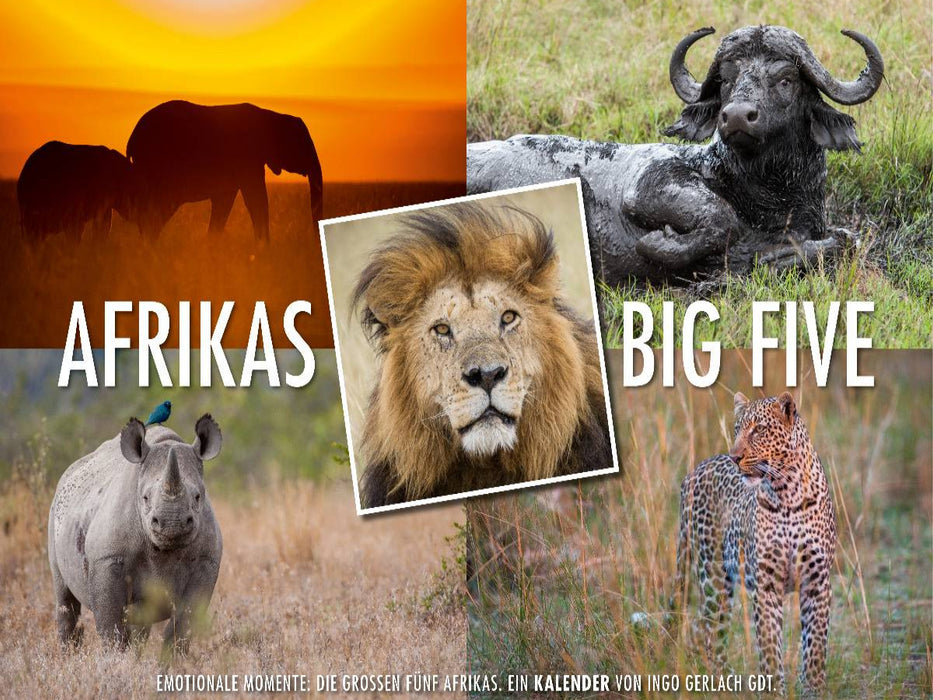 Ein Motiv aus dem Kalender Emotionale Momente: Afrikas Big Five / CH-Version - CALVENDO Foto-Puzzle'