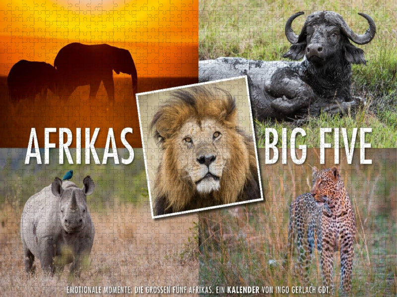 Ein Motiv aus dem Kalender Emotionale Momente: Afrikas Big Five / CH-Version - CALVENDO Foto-Puzzle'