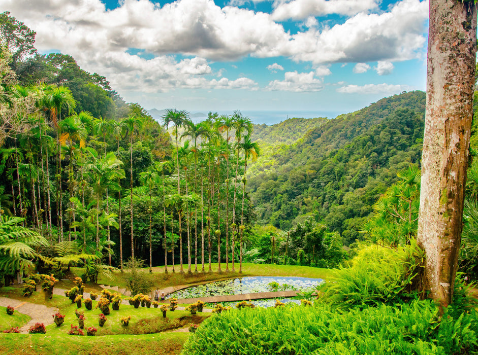 Botanical Garden - CALVENDO photo puzzle 