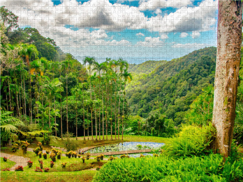 Botanical Garden - CALVENDO photo puzzle 