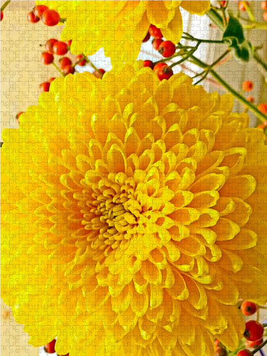 Chrysanthèmes jaunes - Puzzle photo CALVENDO 