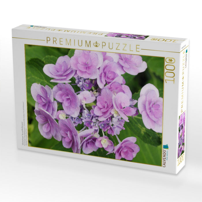 Tellerhortensie 'You and Me Romance' - CALVENDO Foto-Puzzle'